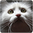 Lovely Cats Photos APK Download