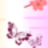 Cherry blossom and Butterfly icon
