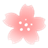 Cherry blossom Go Launcher EX icon