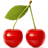 Cherry Live Wallpaper icon