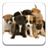 Cute Puppies icon