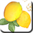 Citrus APK Download