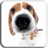Dog Licks Screen LWP Free version 1.2