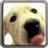 Dog Screen Cleaner LWP Free icon