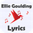 Ellie Goulding icon