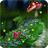 FireFly icon