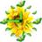 Flower Clock icon