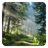 Forest Live Wallpaper version 6.2