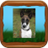 Foxxterrier App icon