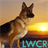 German Shepherd Dog Live Wallpaper icon