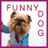 Funny Dog Status APK Download