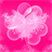GO Launcher Theme Pink Hearts icon