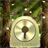 GO Locker Theme Forest icon