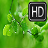 Huawei Wallpapers HD APK Download