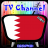 Info TV Channel Bahrain HD icon