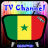 Info TV Channel Senegal HD icon