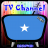 Info TV Channel Somalia HD icon