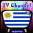Info TV Channel Uruguay HD icon