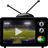 IndoPak Cricket TV version 1.0