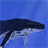 Whale Live Wallpaper icon
