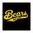 Bad News Bears Baseball icon