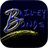 Bailey Bail Bonds icon