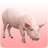 Pig sound icon