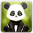 Descargar Panda Bobble Head Live Wallpaper Free