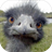 Ostrich Sounds icon