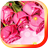 Rose n Music live wallpaper icon