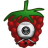 RPi Camera Viewer icon