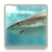 Shark Wallpapers icon