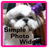 Simple Photo Widget icon