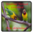 Ternak Lovebird APK Download