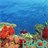 Underwater Coral Reef Live Wallpaper icon