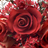 3D Roses wallpaper icon