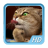 Videos de Gatos icon