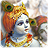 4D Krishna icon
