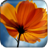 Beautiful Flowers-2 icon