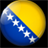 Bosna icon