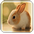 Bunny Live Wallpaper version 1.3