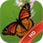 Butterfly WallPaper icon