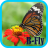 B-Fly icon