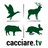 CacciareTV version 1.0.8