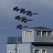 Blue Angels Wallpapers - Free icon