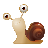 Cute Snail Theme icon