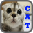 Cat wallpaper icon