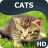 Catswallpapers icon