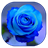 Descargar Blue Rose