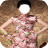 Chinese Dress Photo Montage icon